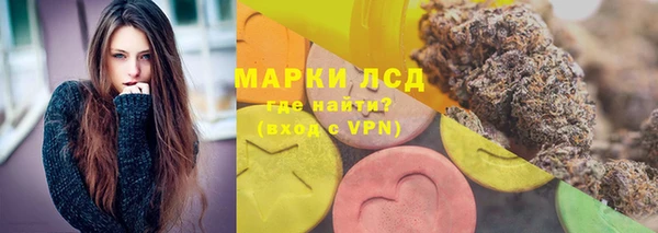 хмурый Апатиты