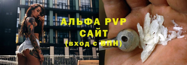 амф Анжеро-Судженск