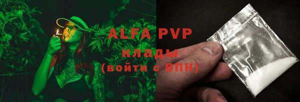 амф Анжеро-Судженск