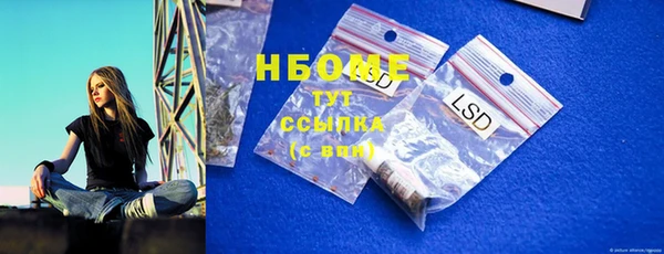 хмурый Апатиты
