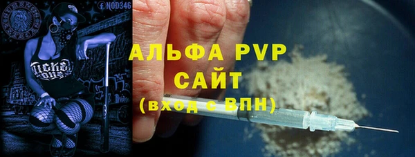 амф Анжеро-Судженск
