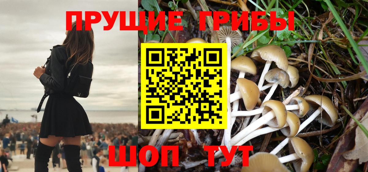 Абинск  как найти наркотики  Вход с VPN  Галлюциногенные грибы прущие грибы 