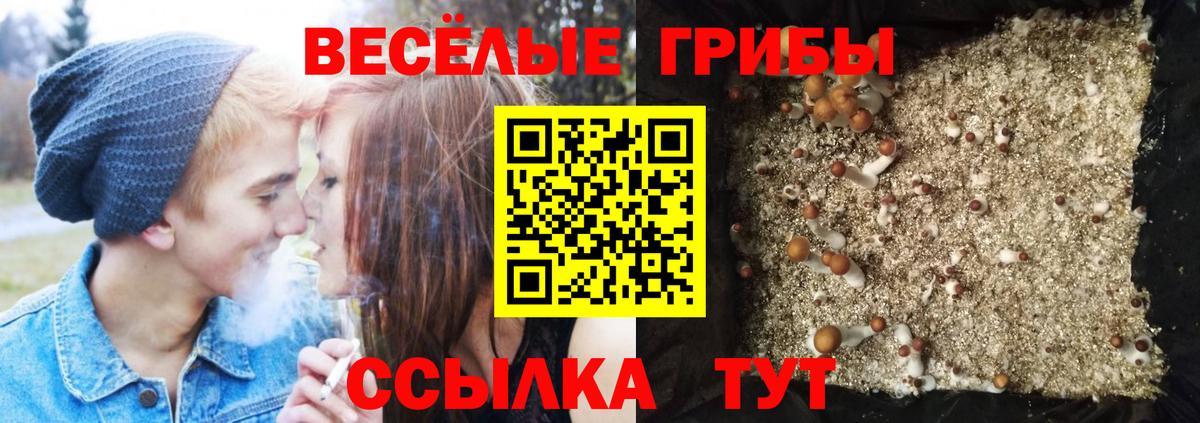 Галлюциногенные грибы Cubensis  цены   Абинск 