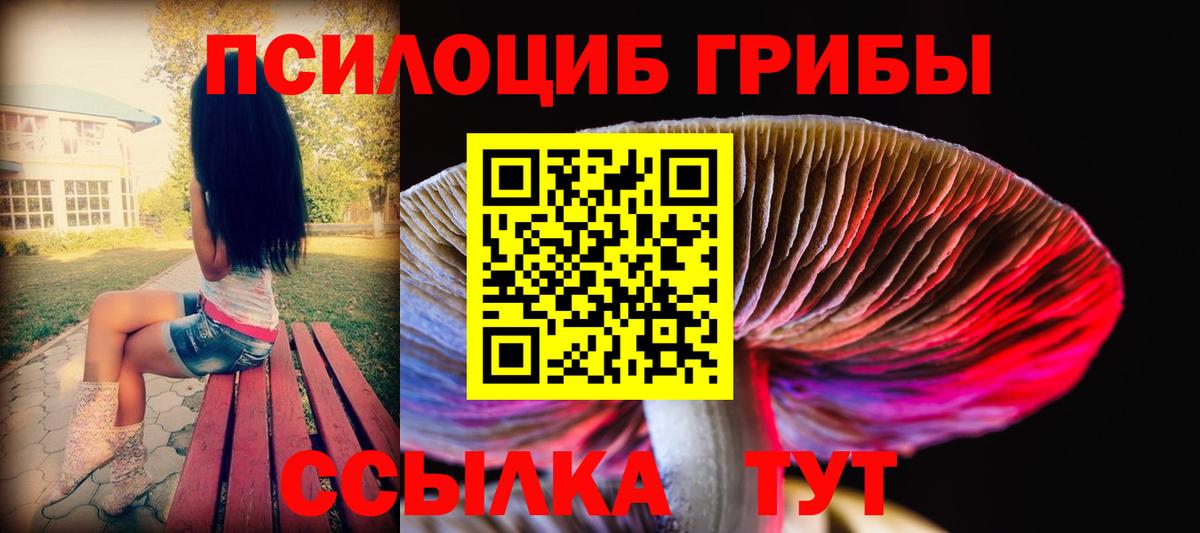 Галлюциногенные грибы Psilocybe Абинск