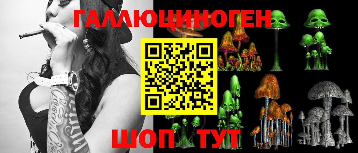 Абинск  Псилоцибиновые грибы мухоморы  Вход с VPN 