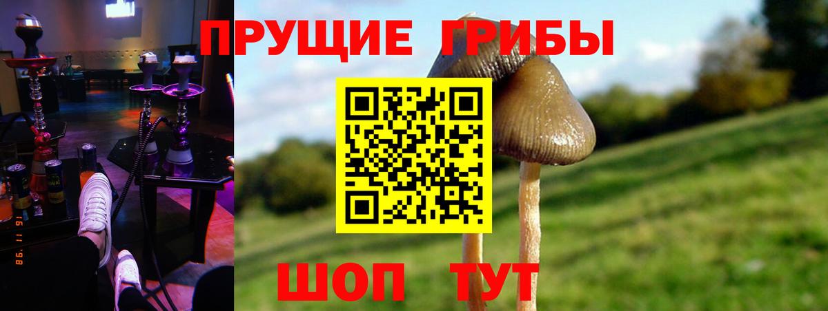 Галлюциногенные грибы Cubensis Абинск